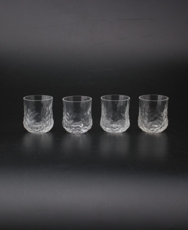 IITTALA KOIVU SNAPSILASIT, 4 KPL