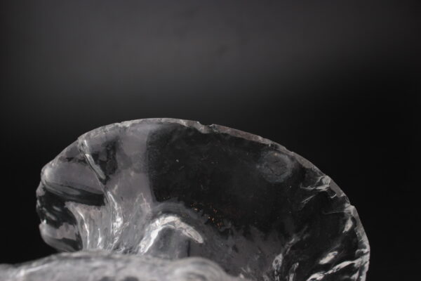 IITTALA RUBUS MALJAKKO - Image 7