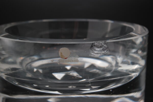 IITTALA JÄÄNSÄRKIJÄ KORISTE-ESINE - Image 3