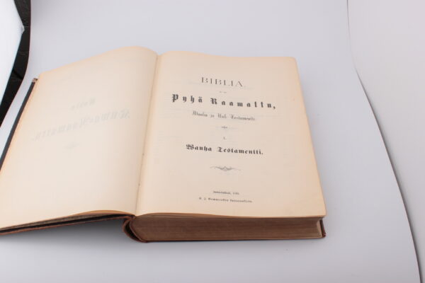 KUVITETTU RAAMATTU VUODELTA 1893 - Image 4