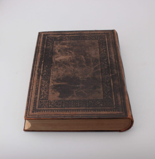 KUVITETTU RAAMATTU VUODELTA 1893 - Image 3