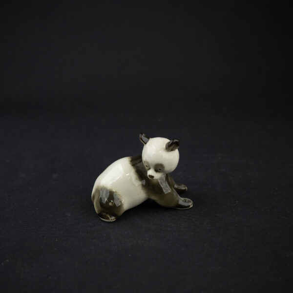 LOMONOSOV PANDA - Image 4