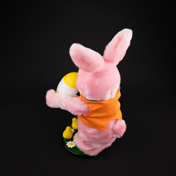 DURACELL PÄÄSIÄISPUPU - Image 2