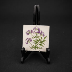 ARABIA VALERIANA OFFICINALIS SEINÄLAATA