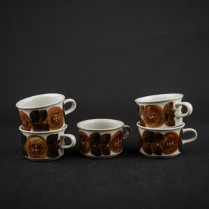 ARABIA ROSMARIN MOKKAKUPIT 5 KPL