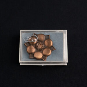 PRONSSINEN RINTANEULA