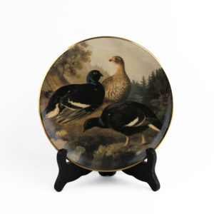 "TEERIÄ RANTATÖYRÄÄLLÄ" SEINÄLAUTANEN