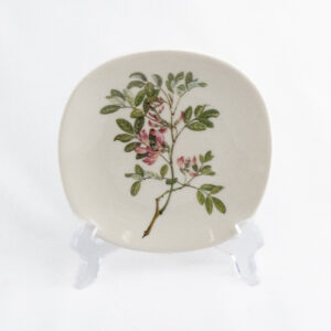 ARABIA WWF SEINÄLAUTANEN