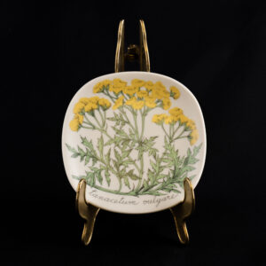 ARABIA BOTANICA "PIETARYRTTI" SEINÄLAUTANEN