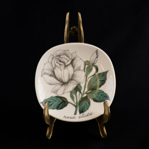 ARABIA BOTANICA "ROSA ELIDA" SEINÄLAUTANEN