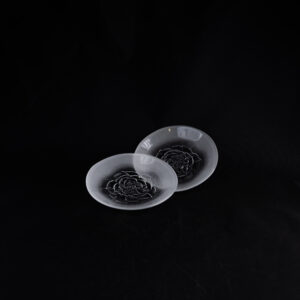 IITTALA VILLIRUUSU LEIPÄLAUTANEN 2KPL